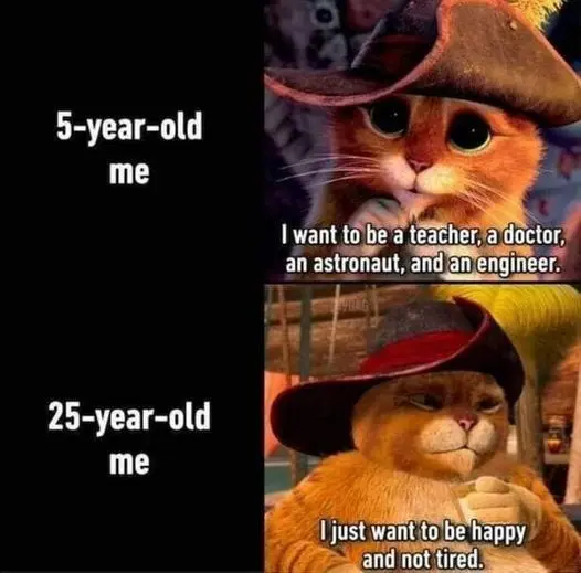 5 year old vs 25 year old me meme comparing life goals