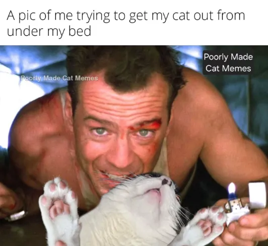 Get cat out under bed meme reaching for cat