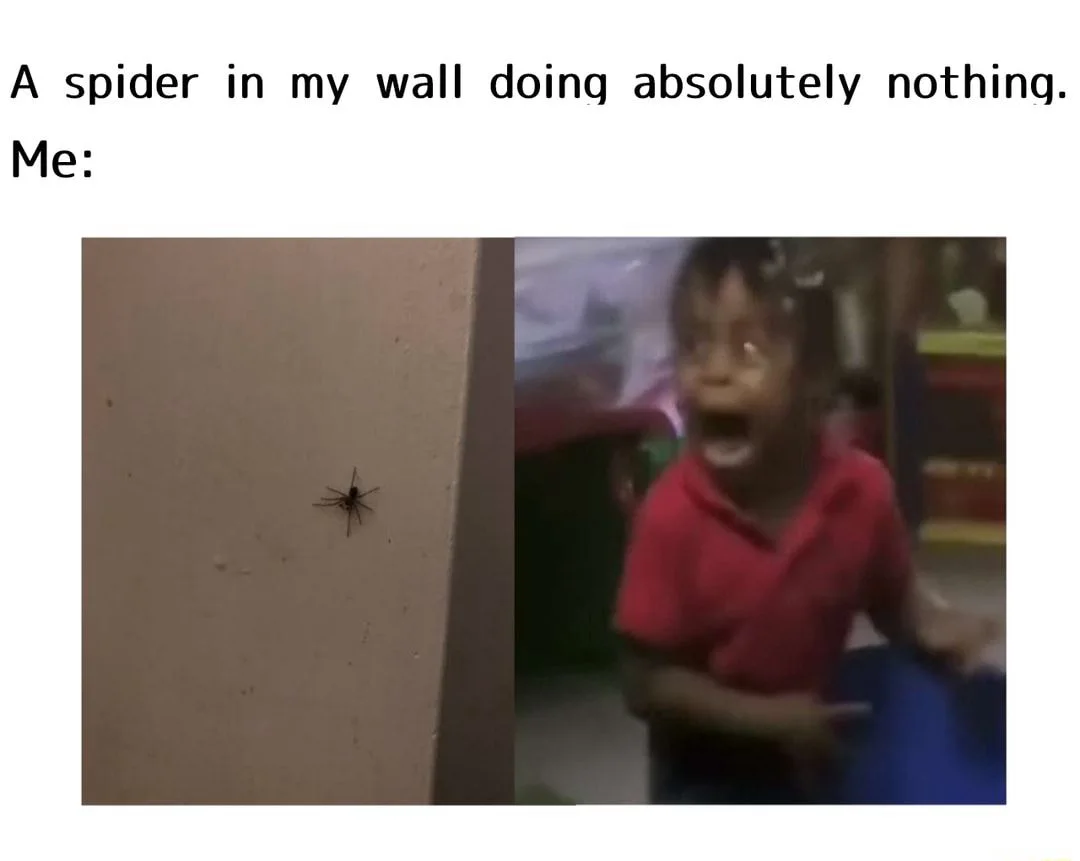 Spider in wall meme kid screaming in panic