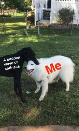 Sudden wave of sadness meme sneaking up on me