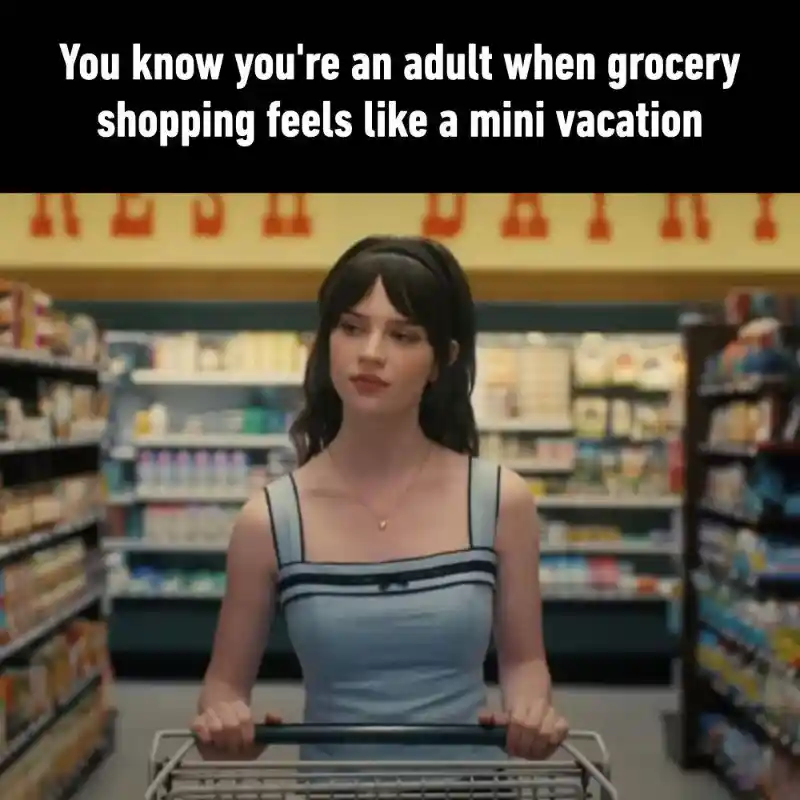Adult grocery shopping meme pushing cart