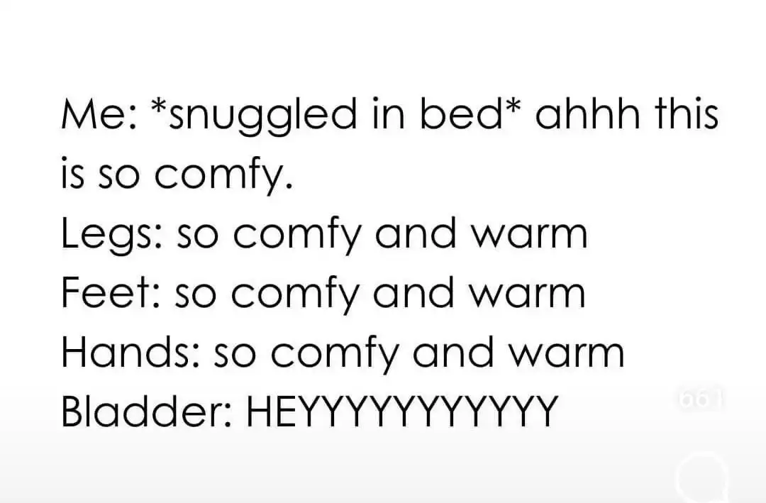 Snuggled in bed meme bladder ruins cozy vibe