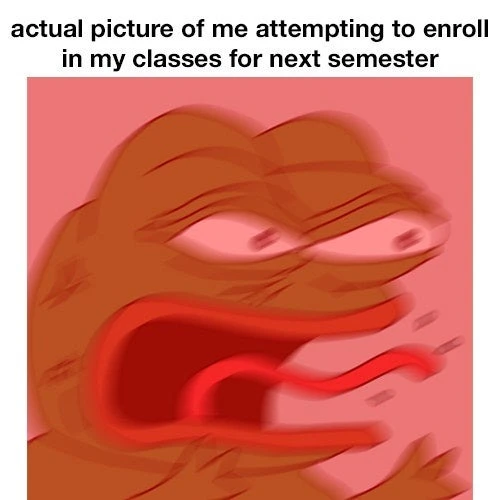 Angry pepe meme raging enrolling for next classes