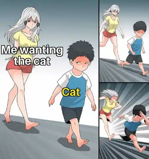 Ara ara chase meme chasing the escaping cat