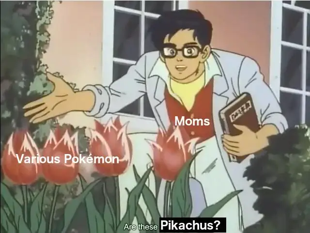 Mom pokemon meme asking if these are pikachus