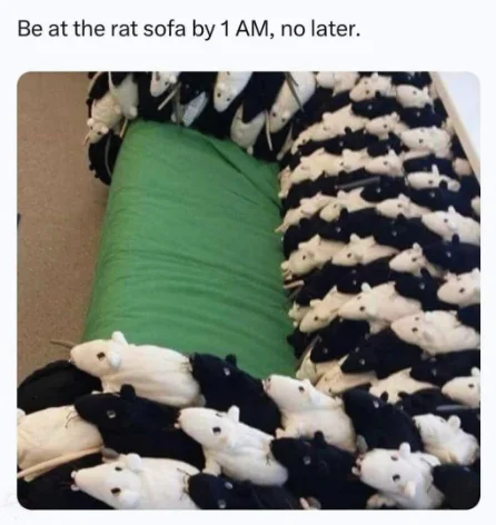 Rat Sofa meme telling you to arrive by 1AM