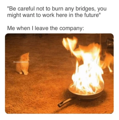 Leaving company burn bridges meme cat near flaming pan