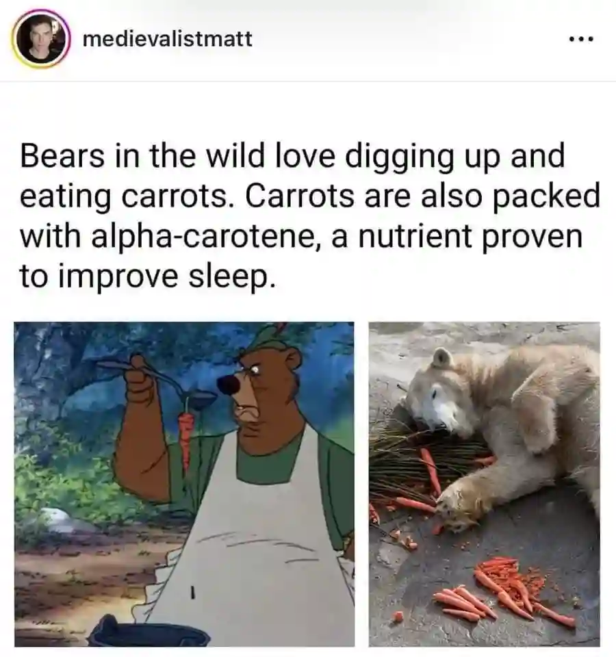 Bear carrot meme asleep after eating carrots