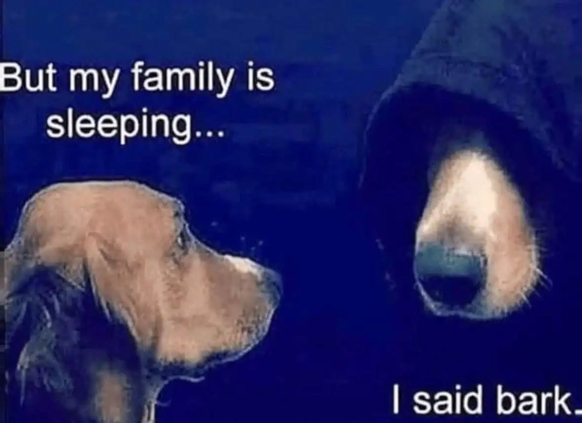 Dog meme telling other dog to bark while family is sleeping