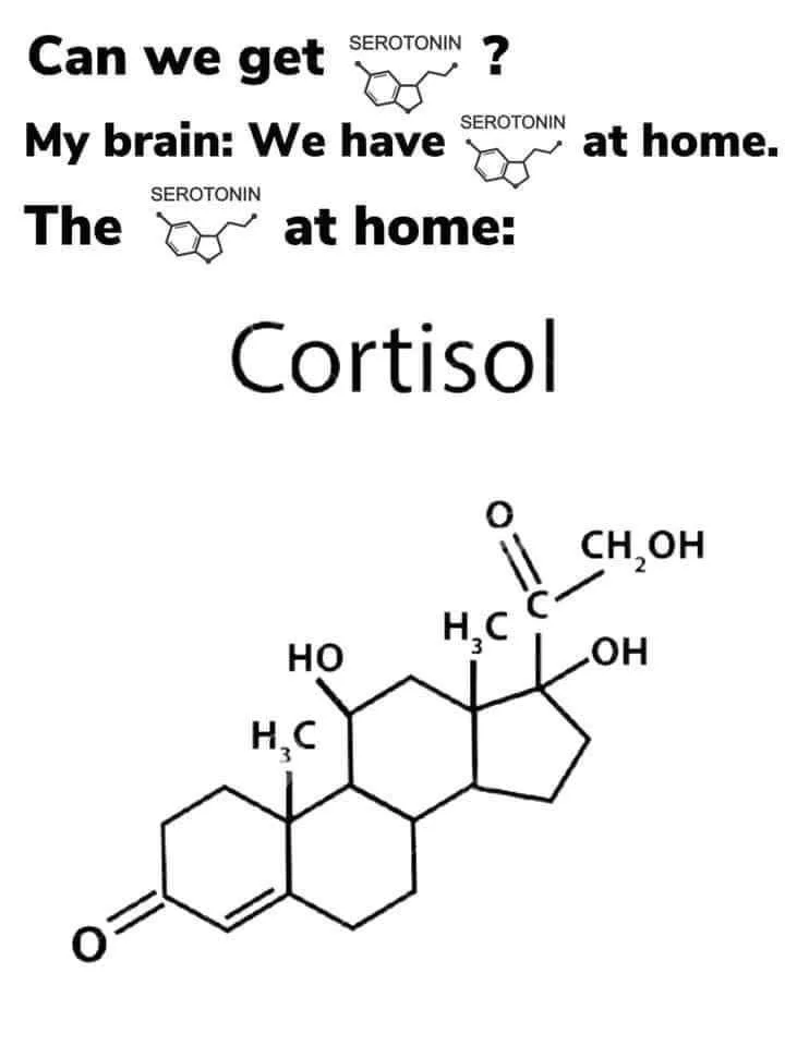 Serotonin at home meme shows cortisol structure