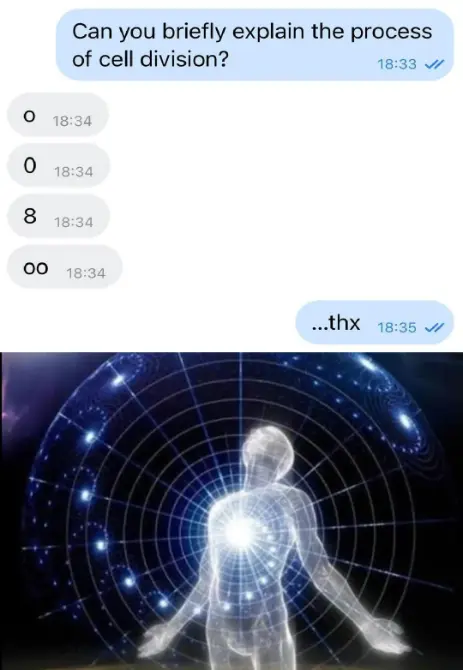 Cell division meme, funny text explanation