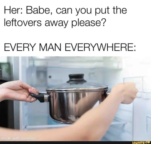Putting whole leftover pot in fridge meme relatable household joke