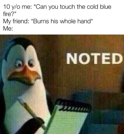 Noted Penguin meme noting burnt hand lesson