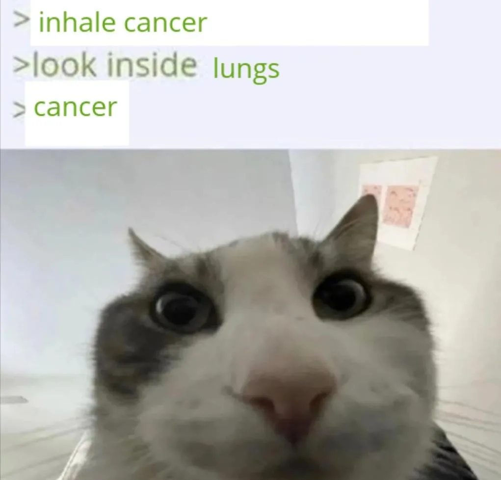 Cat looking inside meme finds cancer in lungs