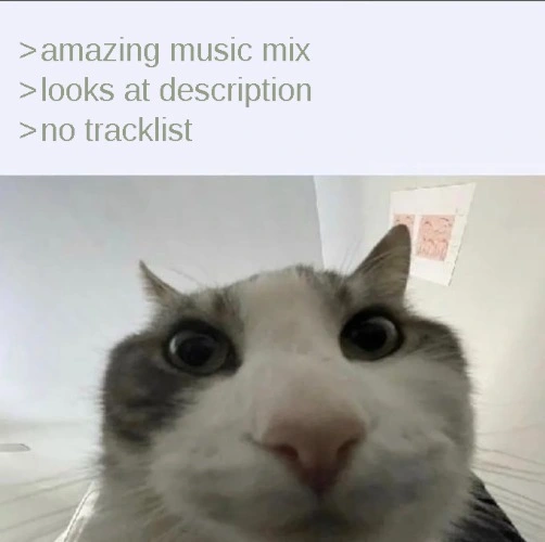Cat looking inside meme shocked no tracklist