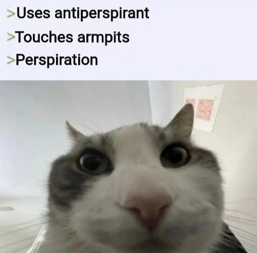 Cat looking inside meme shocked antiperspirant fails