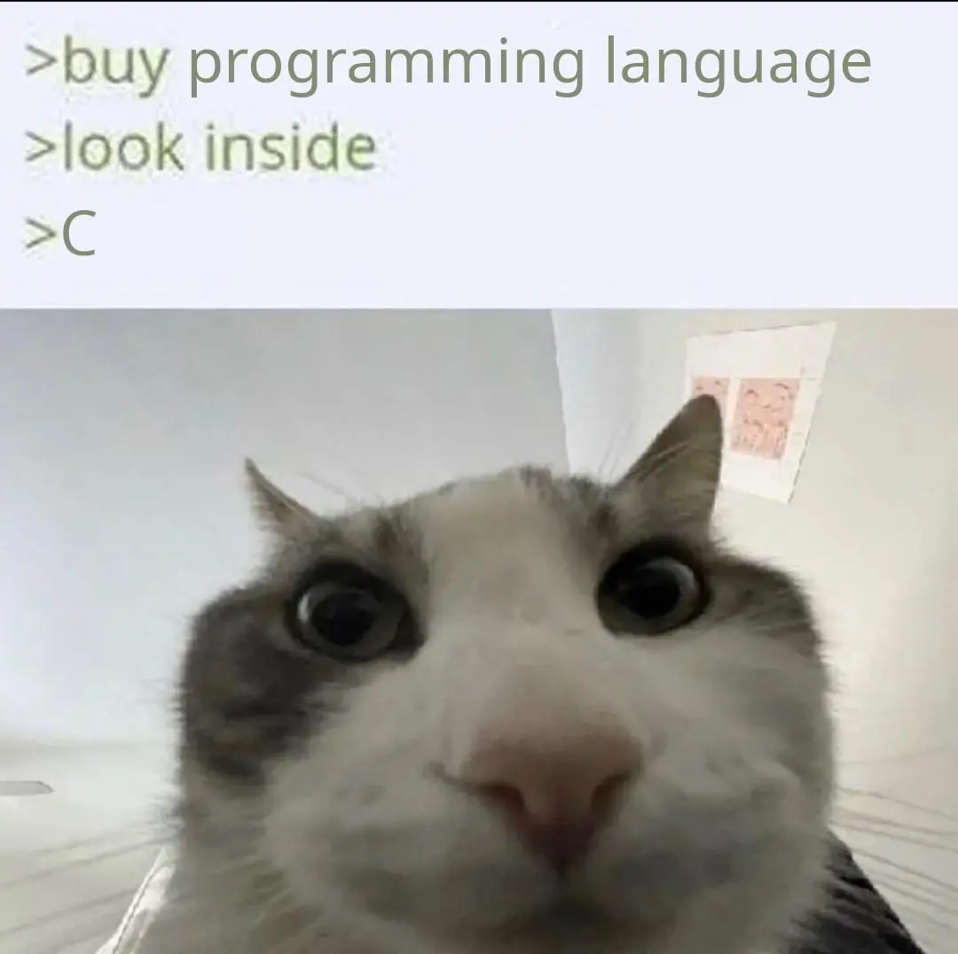 Cat looking inside meme see C code shocked