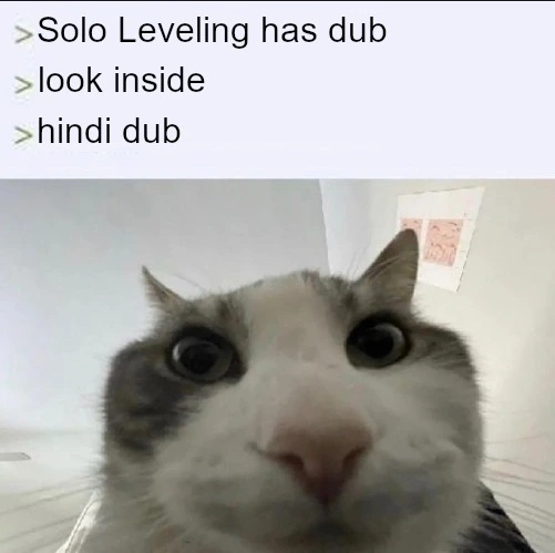 Cat looking inside meme finds Solo Leveling hindi dub