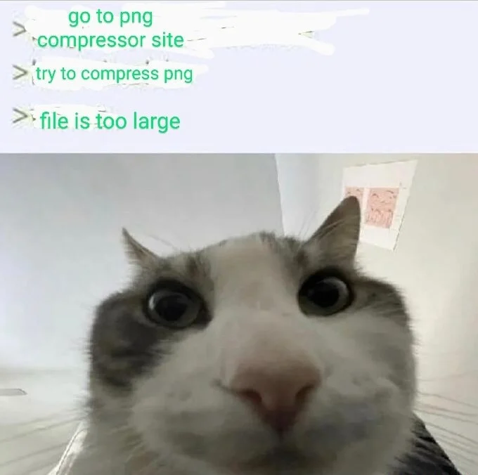 Cat looking inside meme shocked png too large