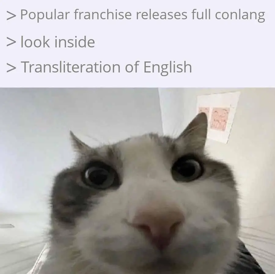 Cat looking inside meme finds fake English conlang