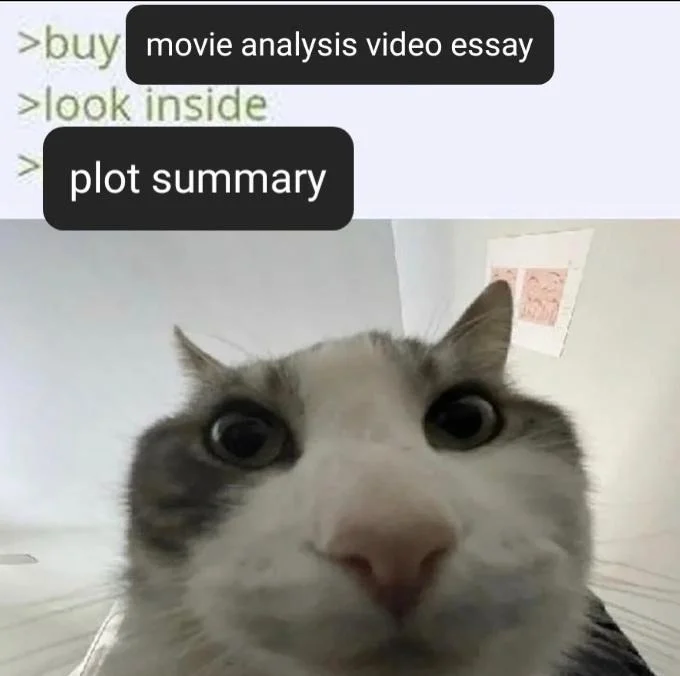 Cat looking inside meme upset by plot summary