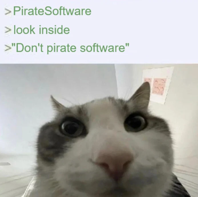 Cat looking inside meme sees anti-piracy note