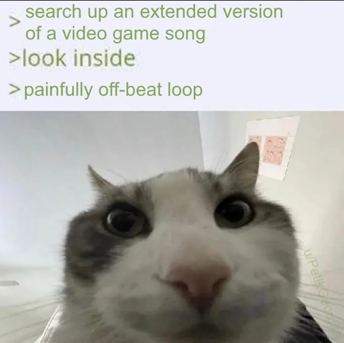 Cat looking inside meme shocked at offbeat loop