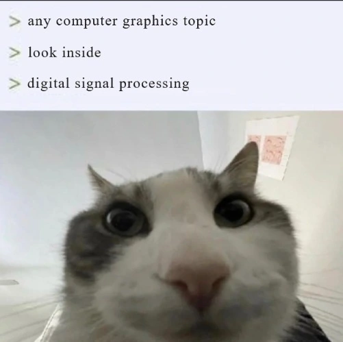 Cat looking inside meme shocked at DSP in CG