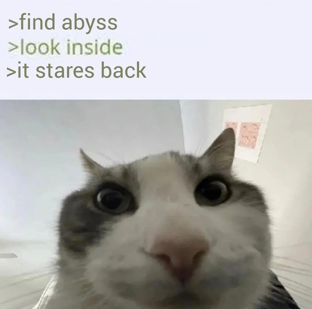 Cat looking inside meme sees abyss stare back