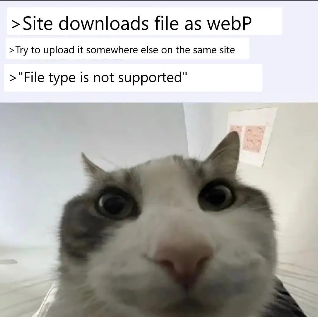Cat looking inside meme confused at unsupported webP file upload