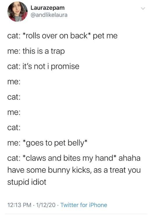 Cat tricking owner meme lures to pet belly then bites hand