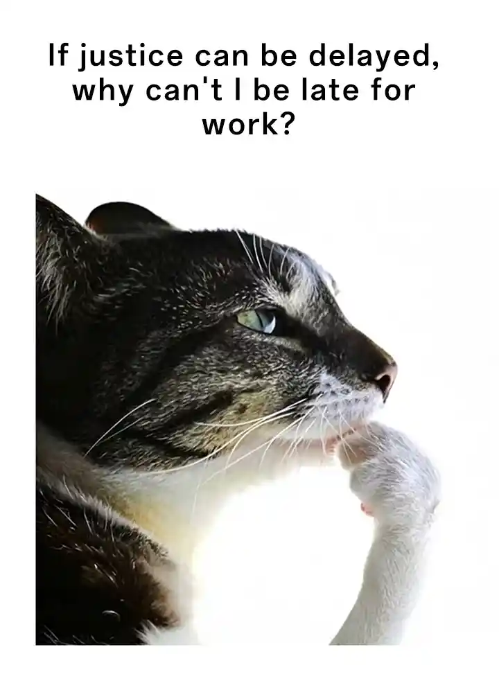 Cat thinking meme justifying work lateness