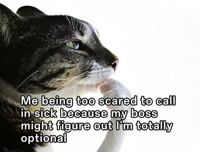 Cat thinking meme scared to call in sick