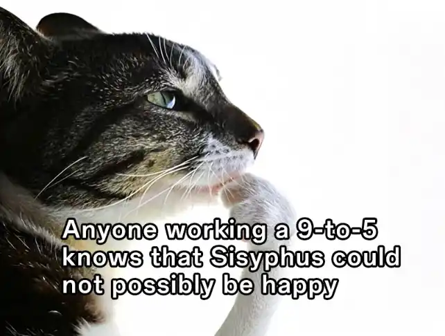 Cat thinking meme 9-to-5 Sisyphus tired