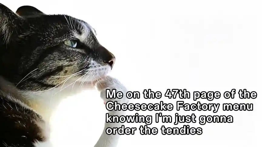 Cat thinking meme picking menu for tendies