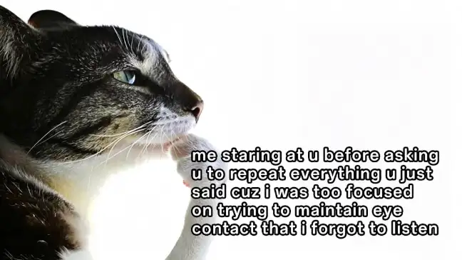 Cat thinking meme ask others to repeat