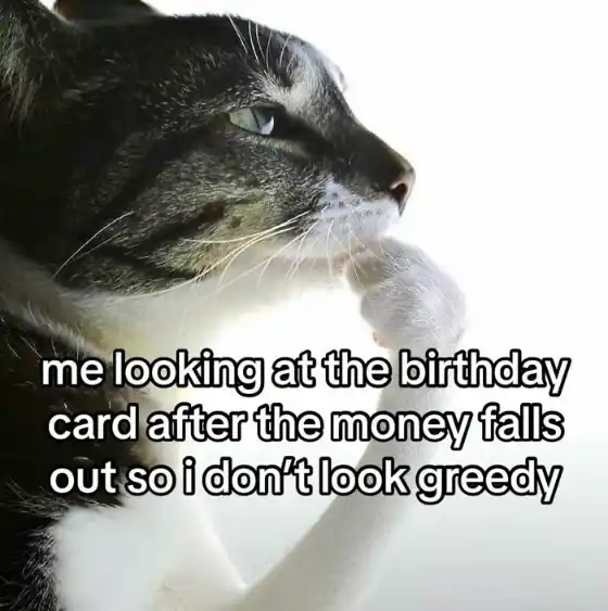 Cat thinking meme pretending not to look greedy