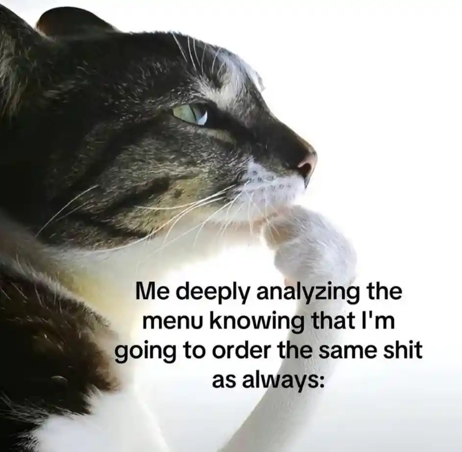 Cat thinking meme reading menu to order same food