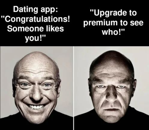 Dating app hidden likes meme annoyed reaction