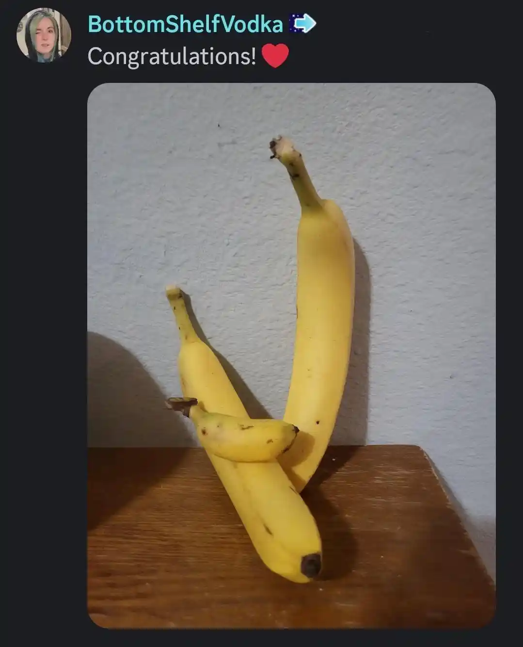 Banana family meme posing with new baby