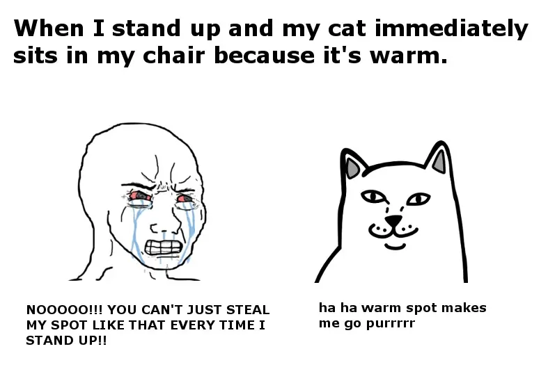 Crying wojak meme sad as cat takes warm seat