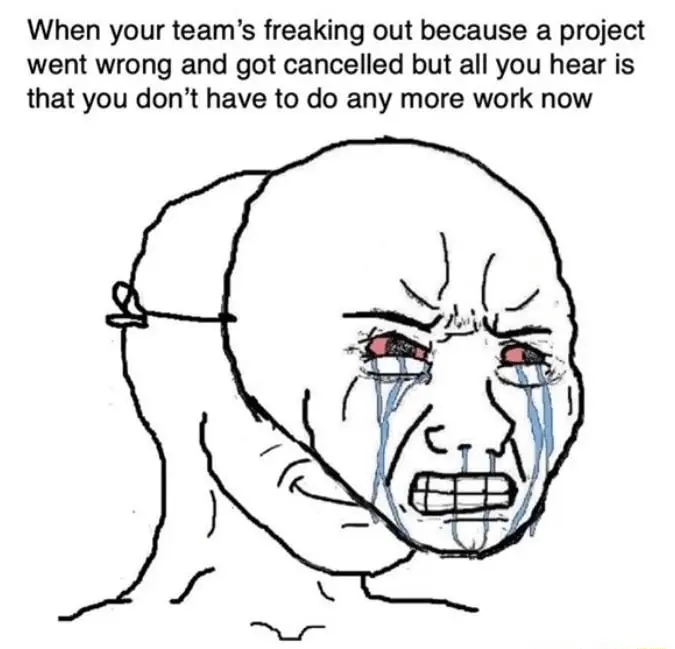 Crying wojak meme happy no more work after project cancelled