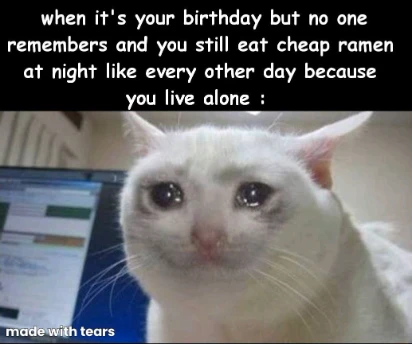 Crying cat meme sad eating ramen on birthday