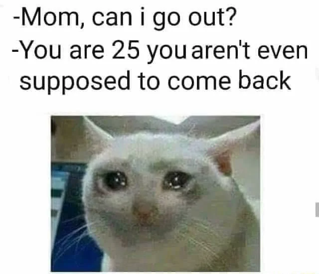 Crying cat meme sad after mom says no coming back