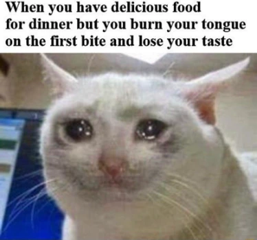 Crying cat meme sad burning tongue on dinner