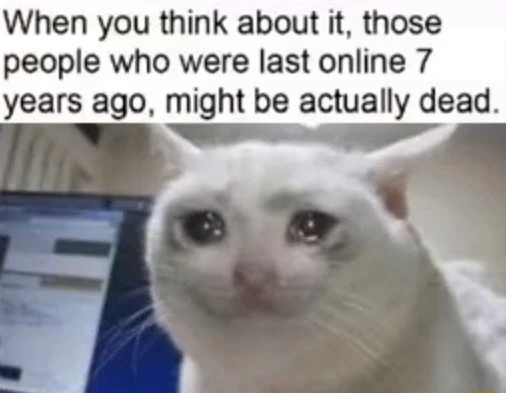 Crying cat meme sad for 7y offline dead pals