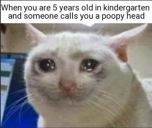 Crying cat meme sad when called poopy head