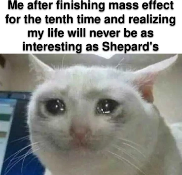 Crying cat meme sad after beating Mass Effect