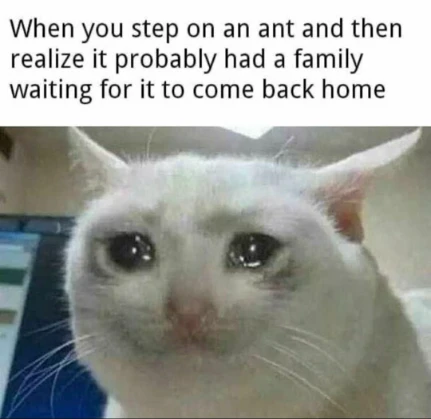 Crying cat meme guilty for stepping on an ant