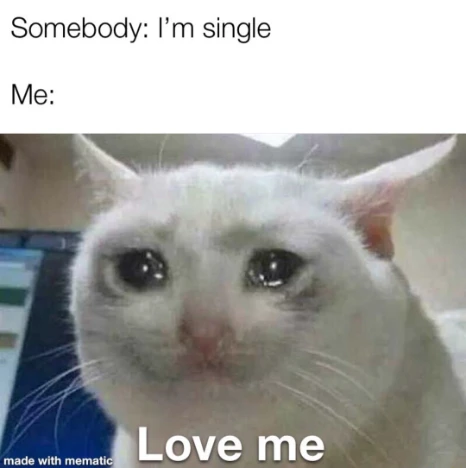 Crying cat meme begging for love when single